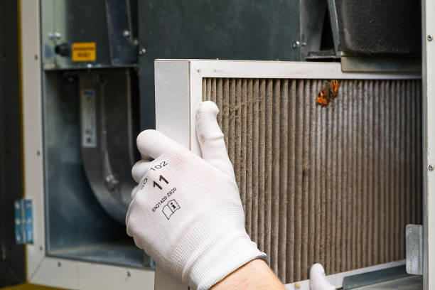 Best Ductwork Cleaning Services  in Cumings, TX