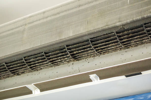 Best Commercial HVAC Duct Cleaning  in Cumings, TX